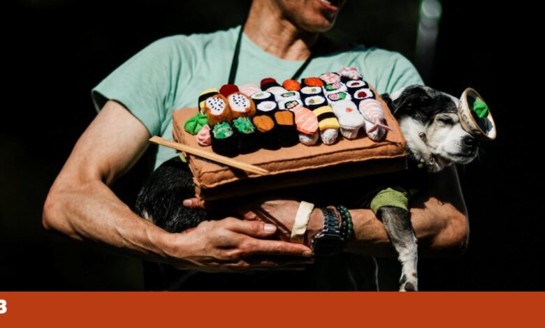 À procura de um disfarce de Halloween para o teu cão? Eis algumas ideias