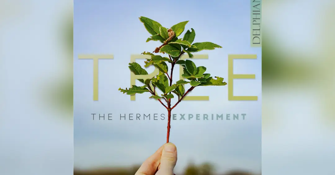 Álbum ‘Tree’ inova no uso de instrumentos e resgata clássicos da música