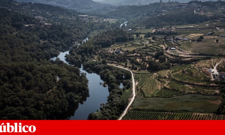 Amarante, entre pinceladas de vinha e rio