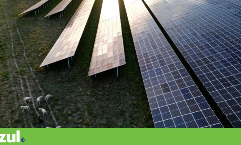Ambientalistas acusam Governo de reduzir ambição nas energias renováveis para 49% até 2030