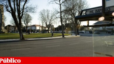 Assembleia Municipal do Porto aceita petição para suspender Avenida Nun’Álvares