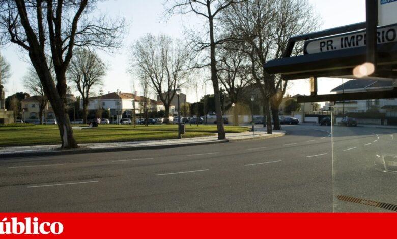 Assembleia Municipal do Porto aceita petição para suspender Avenida Nun’Álvares