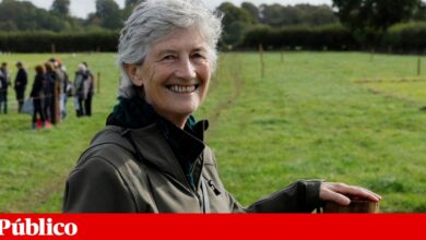 Catherine Connolly vence eleições presidenciais na Irlanda com larga margem