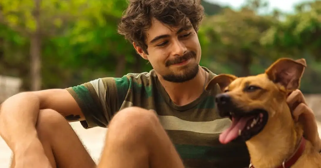 Cinco filmes com cachorros para se emocionar além de ‘Caramelo’