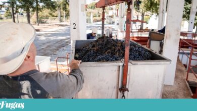 Comissão Europeia ainda não deu aval aos 15 milhões de euros para o Douro