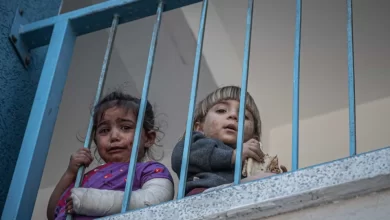 Crianças são as "vítimas da guerra" em Gaza. "Destruição incomparável"