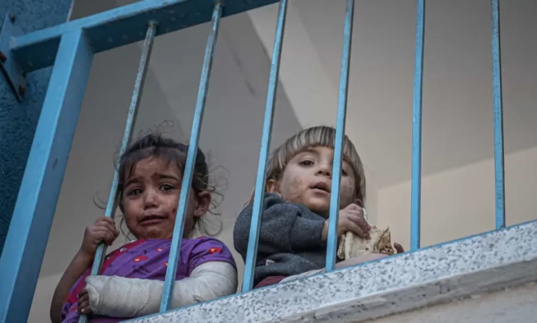 Crianças são as "vítimas da guerra" em Gaza. "Destruição incomparável"