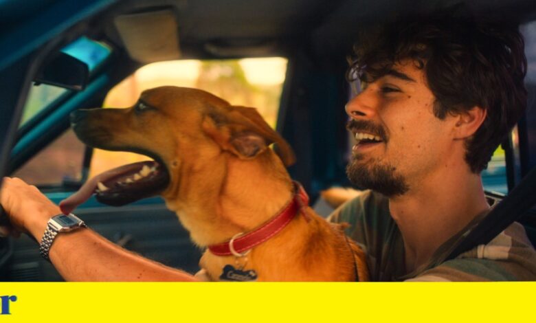 Diretor de <em>Caramelo</em> chora quando vê o filme: “Ideia era tocar o coração das pessoas”