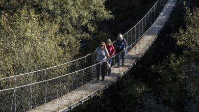 É mulher e tem mais de 62 anos? Quatro mil passos diários é o segredo para a sua longevidade