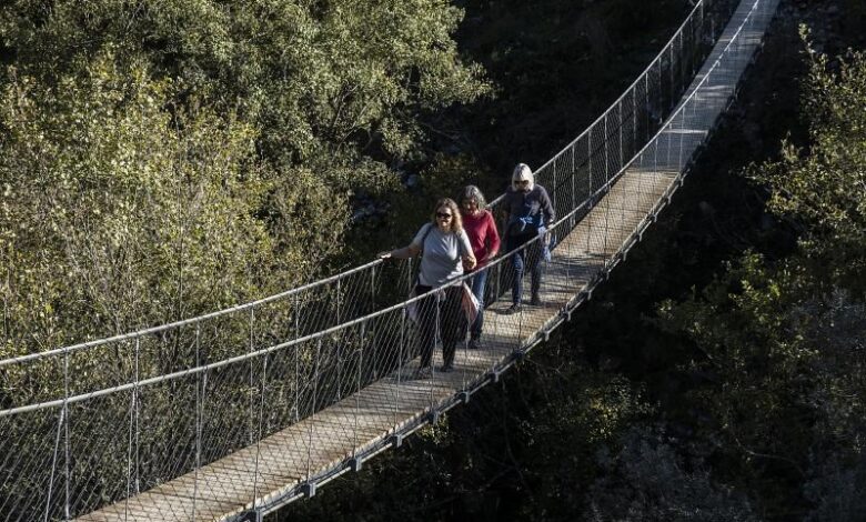 É mulher e tem mais de 62 anos? Quatro mil passos diários é o segredo para a sua longevidade