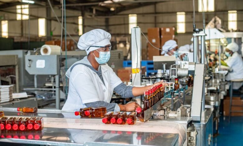 Em revisão regulamento sobre bebidas alcoólicas