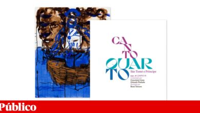 Ensinar Camões. Aprender Camões