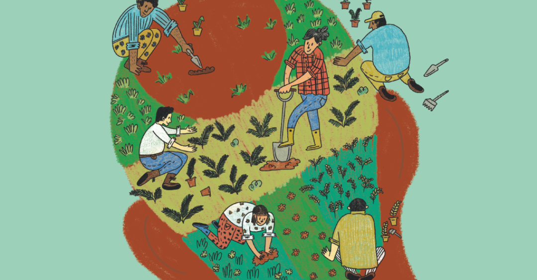 Entre a doação e o transplante: um convite para refletir sobre tempo e empatia