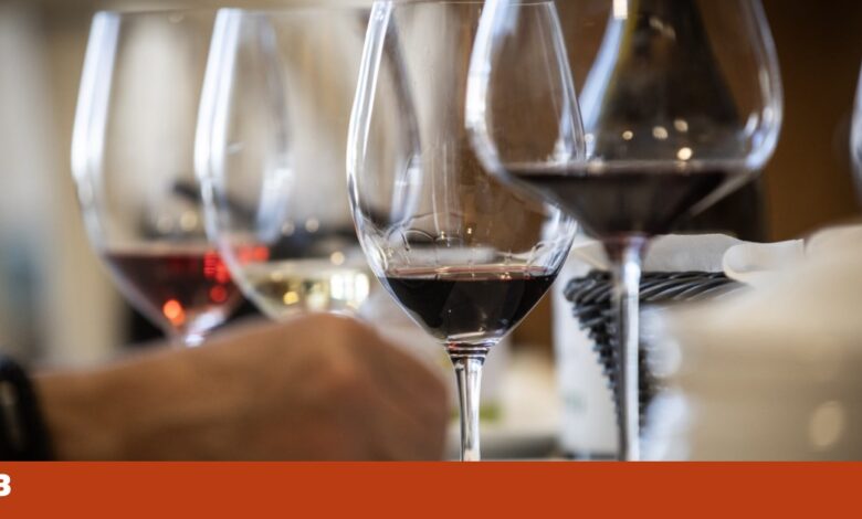 Escolher vinho com o Vivino é deixar o algoritmo decidir