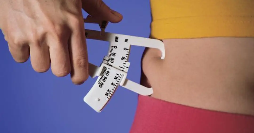 Estudo abre caminho para novas estratégias terapêuticas contra a obesidade