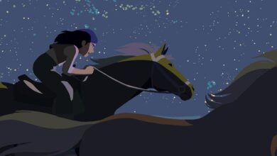 Festa Mundial da Animação continua a animar Vila Velha de Ródão