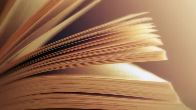 Festival de Filosofia de Abrantes dedicado ao tema 'O poder da palavra'