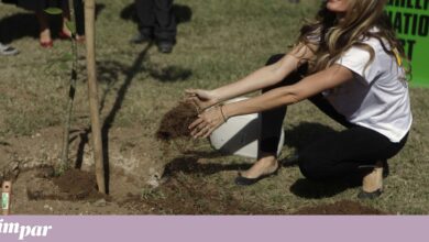 Gisele Bündchen junta-se aos prémios ambientais do príncipe William no Brasil