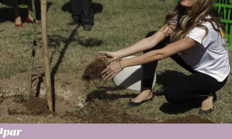 Gisele Bündchen junta-se aos prémios ambientais do príncipe William no Brasil