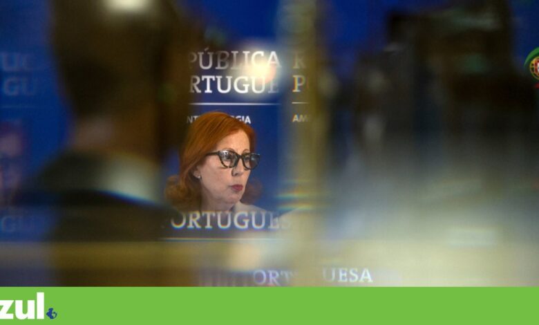 Há preocupação e incerteza sobre fim do Instituto da Conservação da Natureza e Florestas