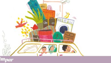 Letra Pequena: linhas que nos separam e dividem