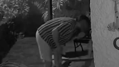 MP deduz acusação contra bombeiro suspeito de agressões na Madeira