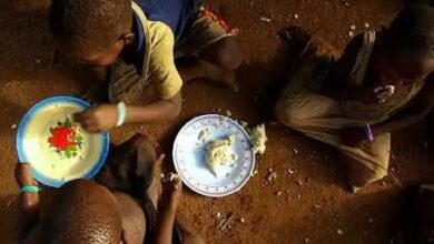 Malawi: Governo necessita de USD 120 milhões para enfrentar crise alimentar