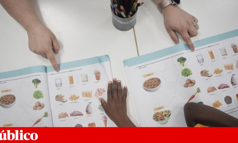 Ministério da Educação quer resolver atrasos nos manuais escolares “com a maior brevidade”