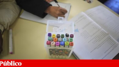 Ministros, governador do BdP e universitários vão dar aulas sobre poupança a alunos