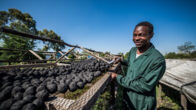 Moçambique terá primeira infra-estrutura hidráulica para tratamento de lamas fecais