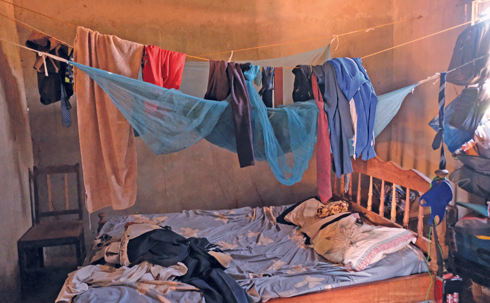 NOS PRIMEIROS NOVE MESES: Malária mata 33 pessoas em Sofala