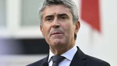 Nacionalidade? Carneiro acusa Governo: "Insensibilidade" e "desumanidade"