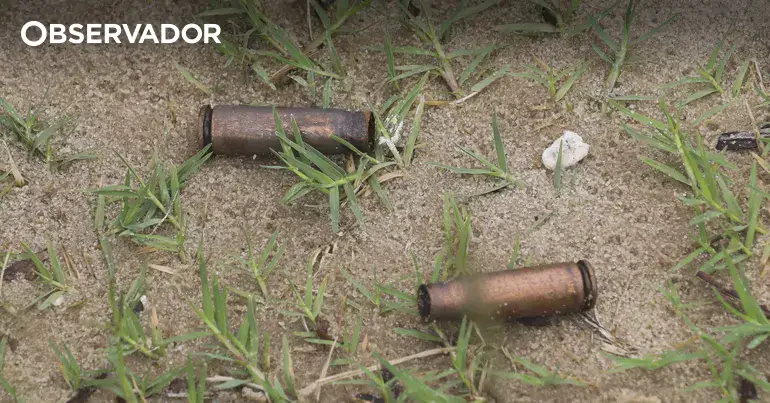 Nampula. Balanço de ataques aponta para 51 casas queimadas