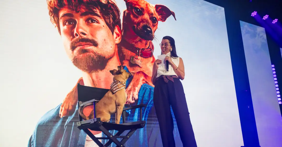Netflix revela dados inéditos de audiência e aposta alto em publicidade centrada na atenção