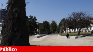 No Porto, Praça da República reabre com mais vida e quer esquecer “velhos hábitos”