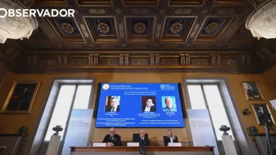 Nobel. Inovação não basta, há que deixar morrer os obsoletos