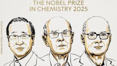 Nobel da Química atribuído a três cientistas