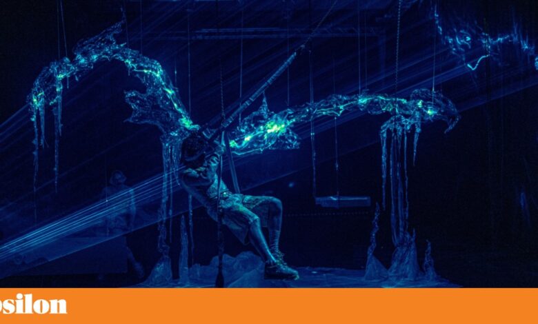 O Alkantara Festival 2025 faz-se da Palestina à Amazónia, do reggaeton a Gal Costa