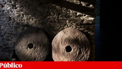 O Baixo Vouga não desiste de lutar pelo seu arroz e agora ganhou um aliado: um velho moinho