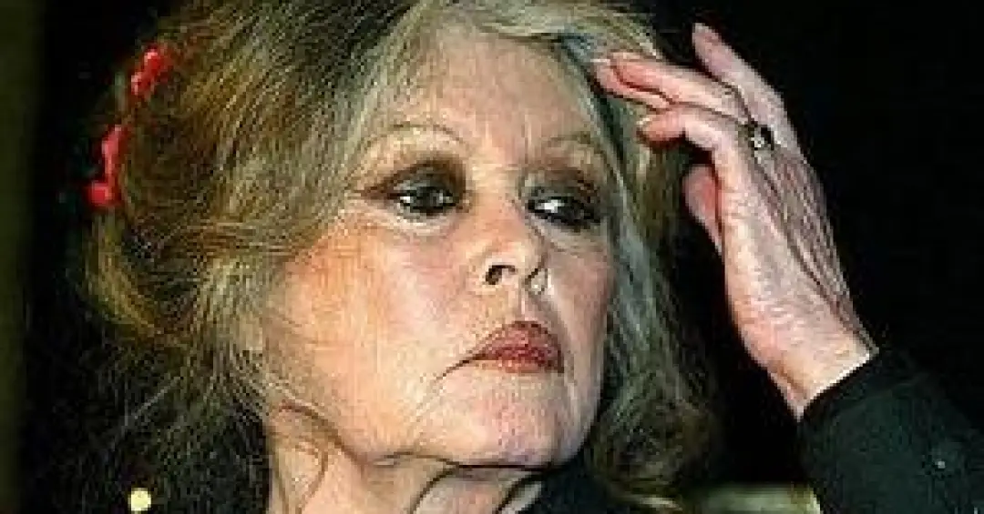 O que se sabe do estado de saúde de Brigitte Bardot, internada aos 91 anos