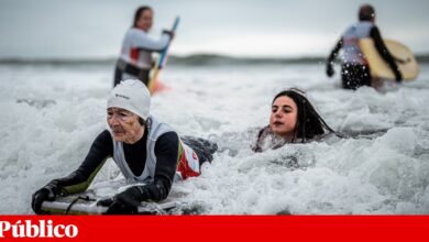 OCDE: IA, envelhecimento e migrações exigem mais competências emocionais e sociais dos adultos