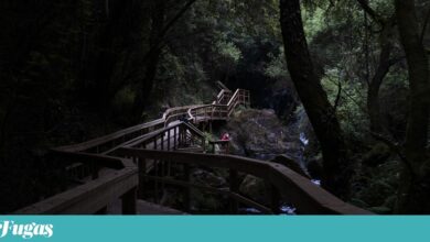 Oliveira de Azeméis: Nos Passadiços de Pindelo a realidade supera a lenda da Pedra Má