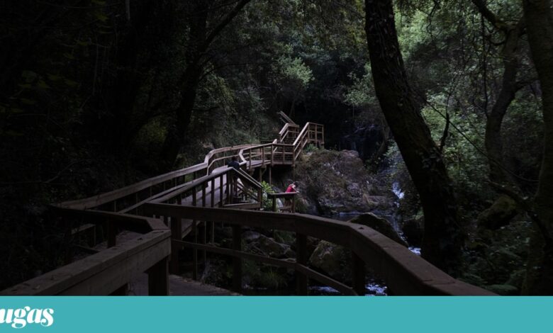 Oliveira de Azeméis: Nos Passadiços de Pindelo a realidade supera a lenda da Pedra Má