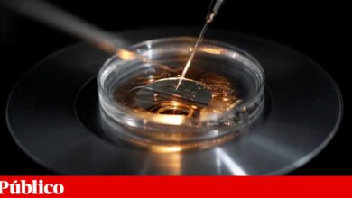 Os robôs estão a aprender a fazer bebés humanos — vinte já nasceram