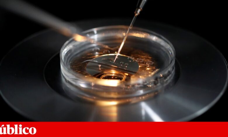 Os robôs estão a aprender a fazer bebés humanos — vinte já nasceram
