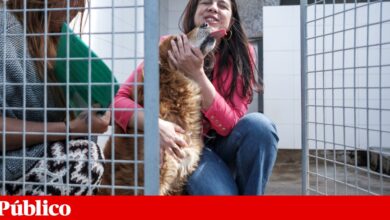 PAN vai abster-se no OE2026 na generalidade, mas avisa que na final pode ser contra