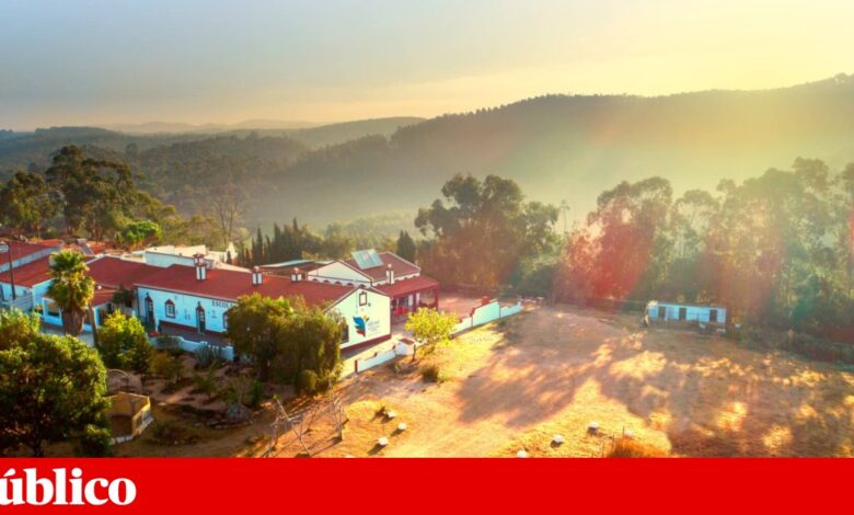 Pais de alunos de escola encerrada em Aljezur avançam para tribunal contra ministério