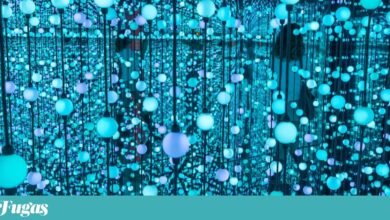 Participamos e até julgamos: aqui, o visitante é quem mais ordena