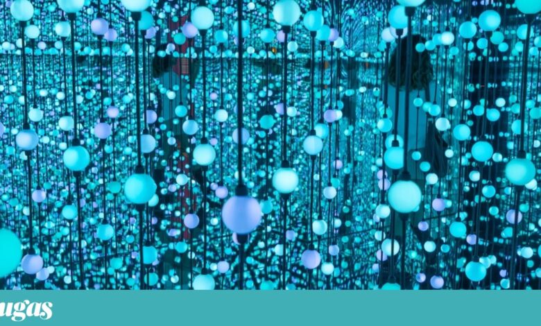 Participamos e até julgamos: aqui, o visitante é quem mais ordena