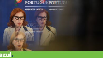 Plano de Restauro da Natureza já concluiu diagnóstico e avança para fase de propostas e prioridades